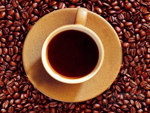 Kingdom Coffee咖啡王国加盟流程