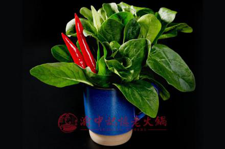重庆老<a href=/listinfo-22-0.html target=_blank class=infotextkey>火锅</a>哪家最好吃？渝中记忆唏嘘咂舌
